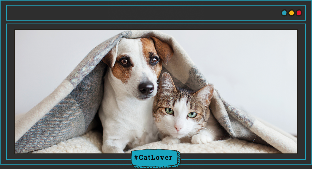 convivencia entre mascotas en casa